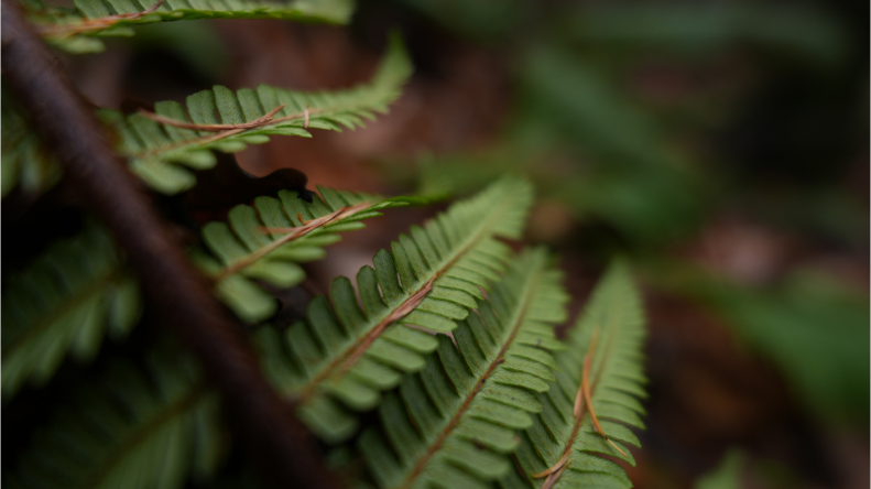 Sony FE 16mm f/1.8 G Review: The Ultra-Wide Prime for the Modern Creator 80 Sony FE 16mm f/1.8 G Review
