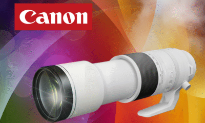 Canon RF 200-800mm f/6.3-9 IS USM Lens